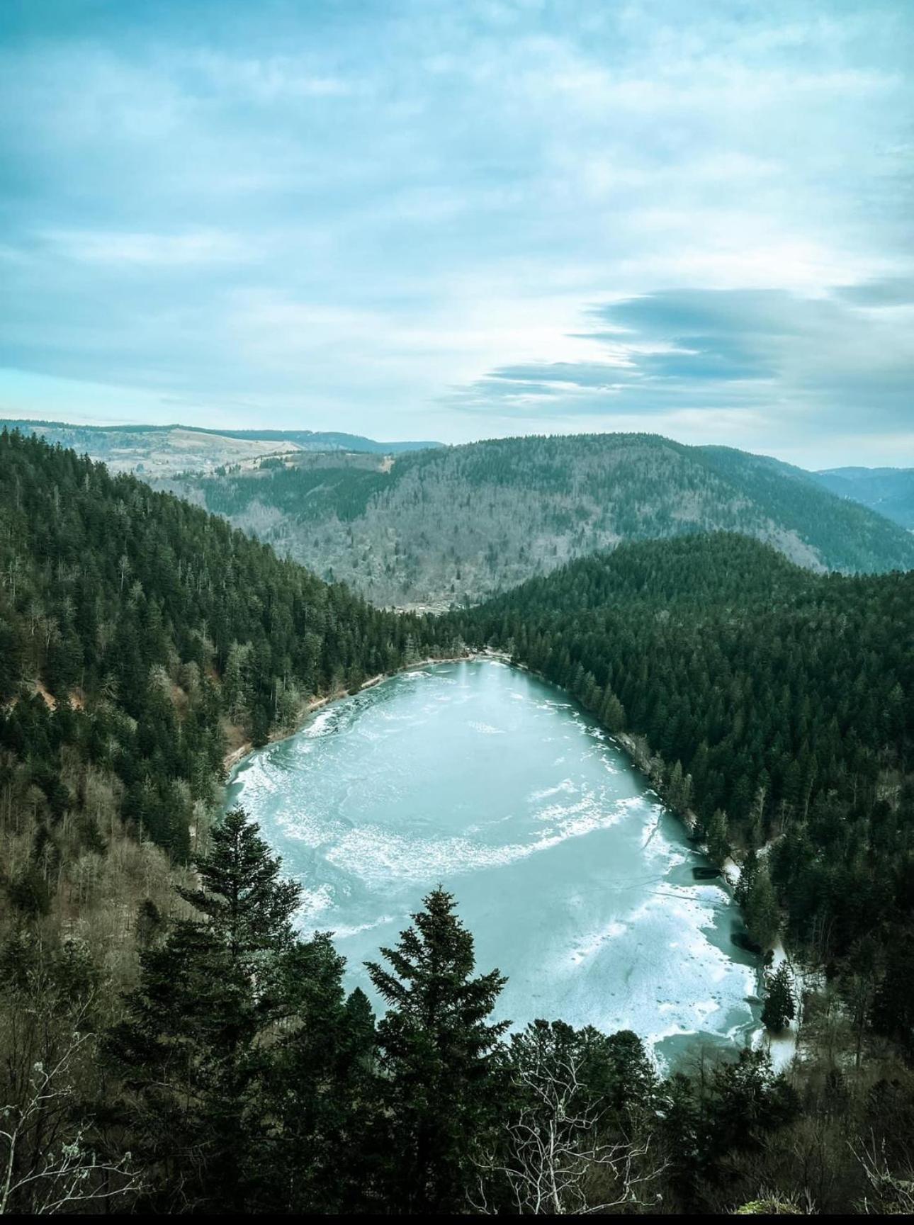 Chalet Le Bo & Spa Bussang Kültér fotó